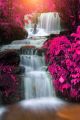 The Beautiful Rainfall In The Pink Forest Canvas Print