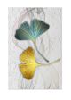 3D Beautiful Flower Pattern Canvas Print