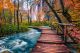 Beautiful Wooden Bridge In The Colorful Autumn Deep Forest Canvas Print