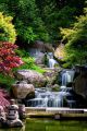 Waterfall View With Maple Trees Canvas Print