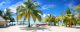 Palm Trees On Sandy Beach And Cloudy Sky Canvas Print