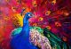  Beautiful Multicolored Peacock Canvas Print