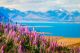 Landscape View Of Lake, Flowers And Mountains Canvas Print