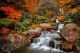 Waterfall During Autumn Canvas Print