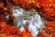 Beautiful Waterfall At Colorful Autumn Forest Canvas Print