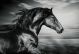 Black And White Running Horse Canvas Print