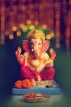 Beautiful Ganesh Ji Canvas Print