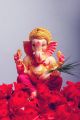 Beautiful Ganesh And Red Flowers Canvas Print