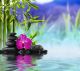 Purple Orchid, Stones and Bamboo on the Water Canvas Print