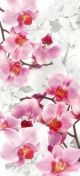 Pink Orchids and Cherrie Flowers Canvas Print