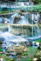 View of Waterfall with Many Fishes Swim in the Water and Bird Canvas Print