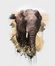 Abstract Painting Of Elephant Canvas Print