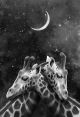 Lovely Couple of Giraffe at Night with Dark Galaxy Sky Background with Moon Canvas Print