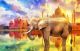 Elephant with Taj Mahal Sunset Colorful Background Canvas Print