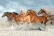 Wild Horses Running in Sand Canvas Print