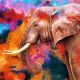 Colorful Elephant Canvas Print