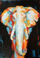 Multicolored Elephant on a Black Background Canvas Print