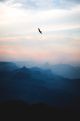 Birds Flying Above a Mountain Canvas Print