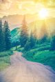 Scenic Mountain Road Canvas Print