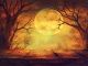 Halloween Background With Full Moon Canvas Print