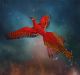 3D Phoenix Fly Canvas Print