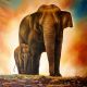 A Elephant Family Painting on Canvas Print