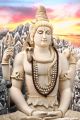 Big Shiva Statue with Cobra Around His Neck Canvas Print