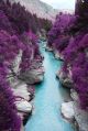  Purple Pine Forest, Mountain and Blue Stream Canvas Print